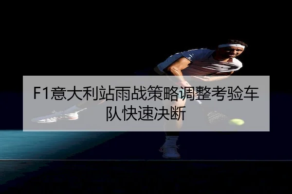 F1意大利站雨战策略调整考验车队快速决断